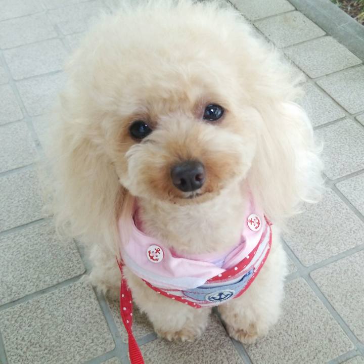 E0c7e202 afd2 4916 b8e0 002d7ab5c3e6 1529409549678