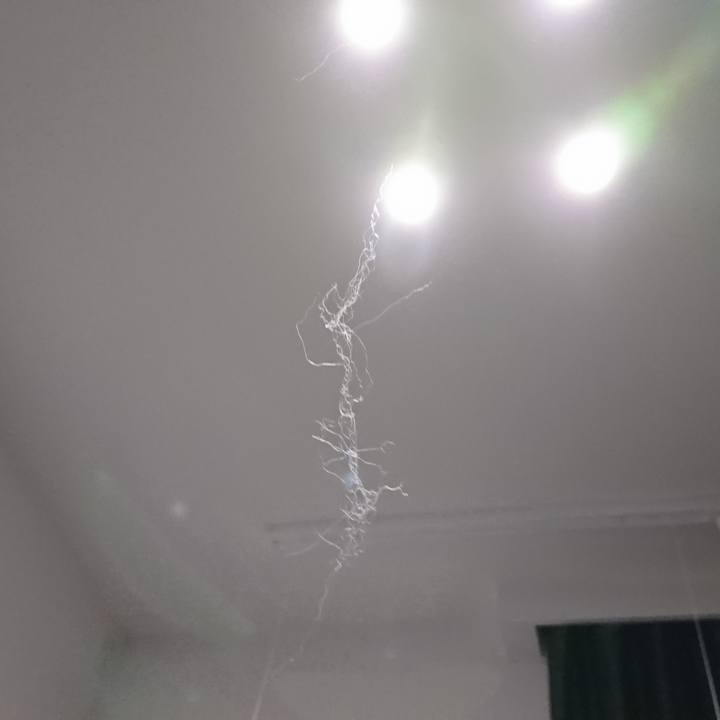 E0c82099 a897 4d30 90f4 2487d38c4b31 1576246504380