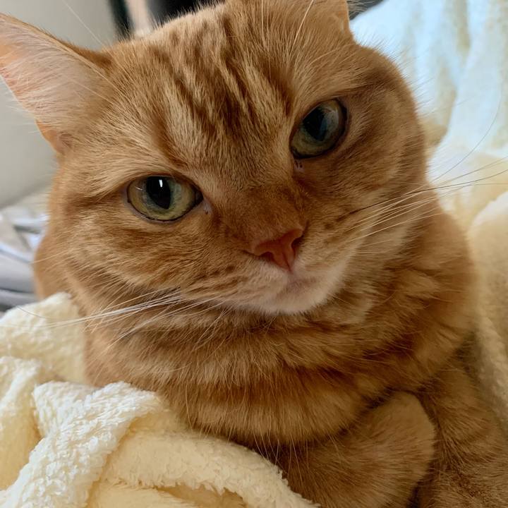 E0c847e6 41c0 4a43 a3ec 1052d7e11672 1657580056775