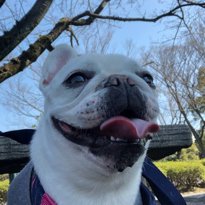 E0c84fe6 0167 4e33 b289 0118ffd9204e 1582521881496