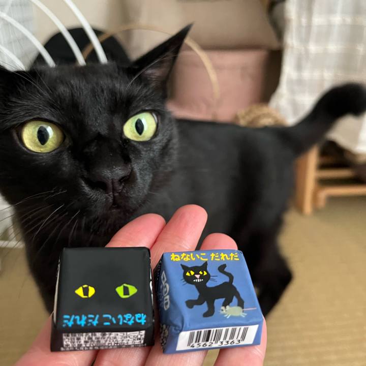 E0c85c8f c525 4ac4 9ebe bd5f7a4320da 1695947198146