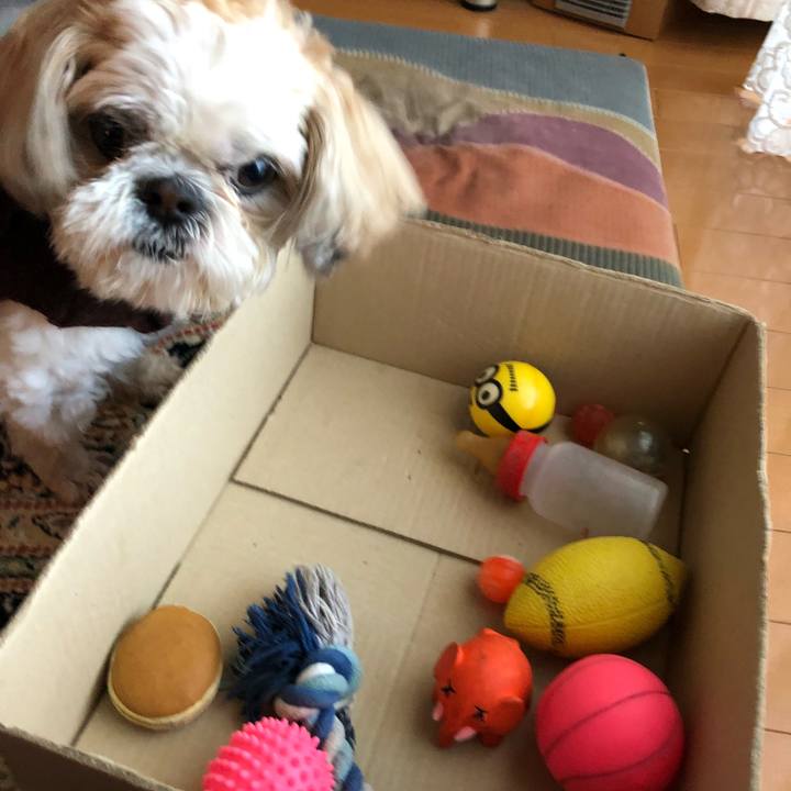 E0c876c4 bff4 4149 9a5d 7c5446b99dbf 1520749624757