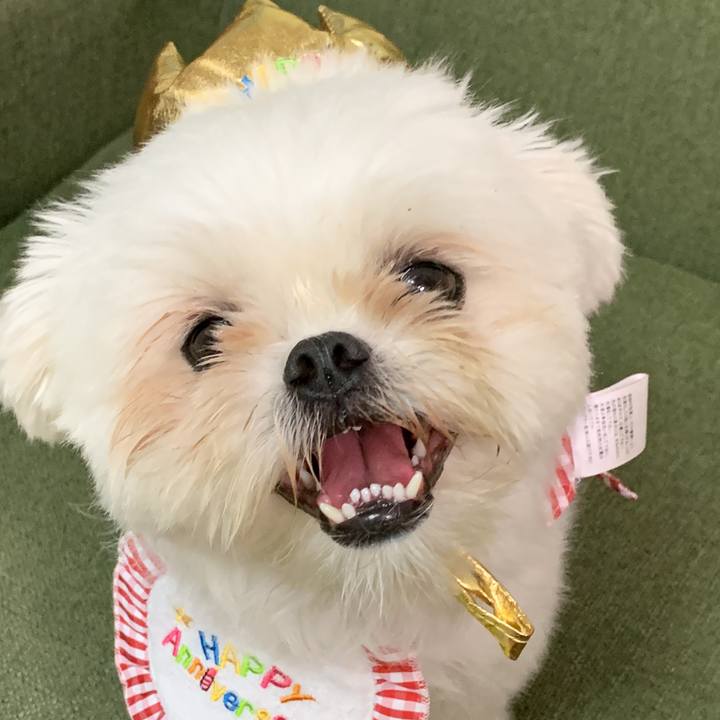 E0c8a1d4 35f3 4dfd 9d4f 45fe02dc52ed 1665410439909