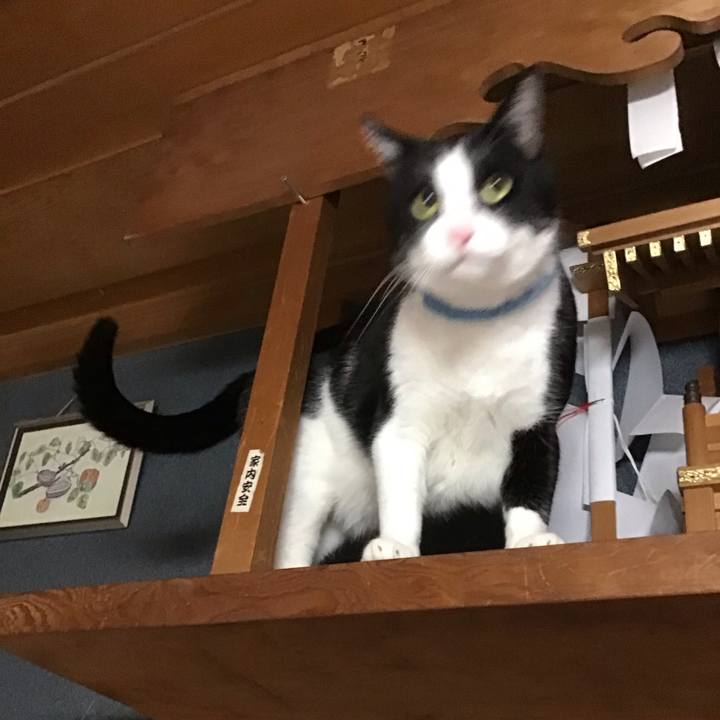 E0c8a9e4 9d2f 4a93 887e 4341f6d0843b 1741597672631