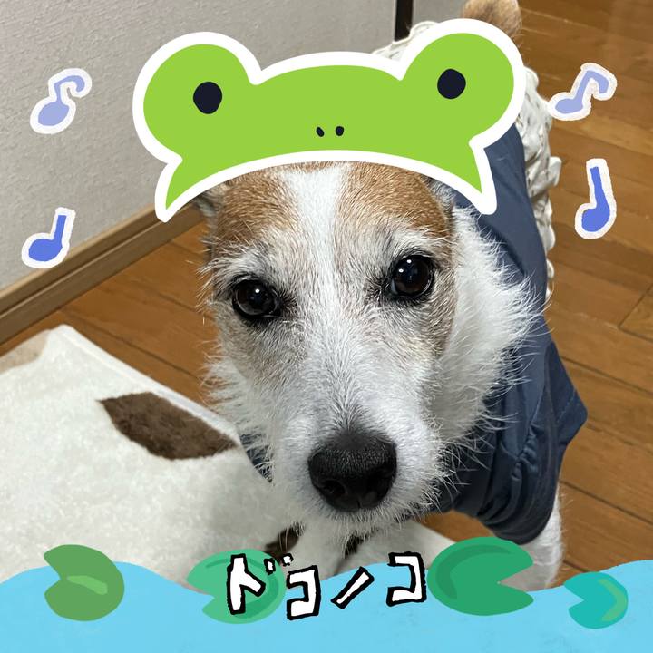 E0c8be5b 362b 4078 850b ee0c25d05488 1717975245214