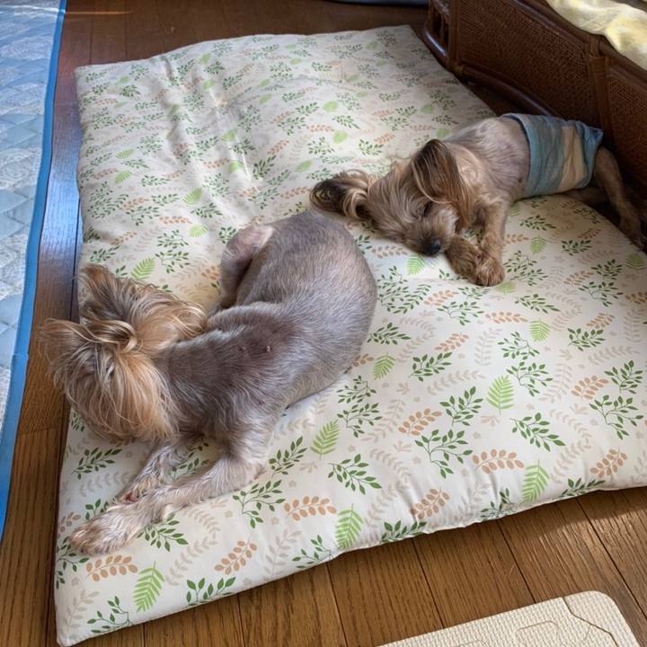 E0c8d203 7b0c 4299 ba52 cd4722172515 1660815087749