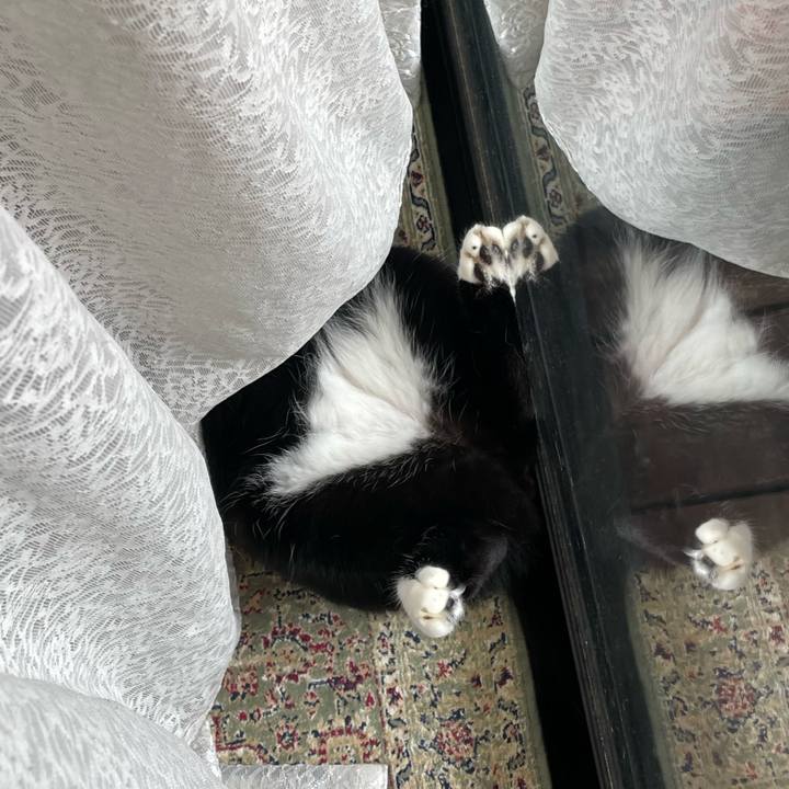 E0c9426b 99f5 4f57 b19f 5f7d152f796b 1724891520588