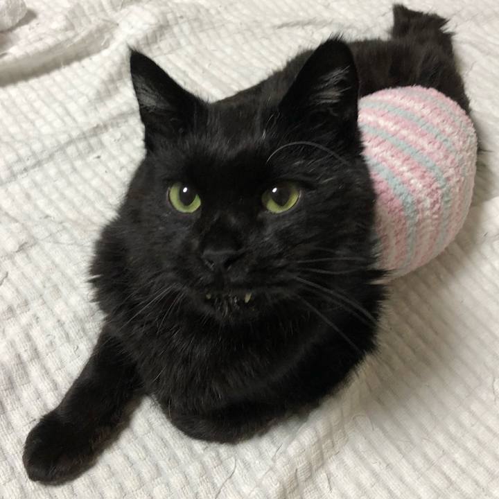 E0c946c1 153e 472a 8c04 5fb135099694 1642110222905