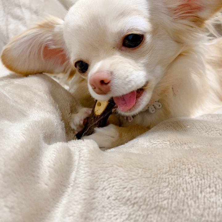 E0c96993 132b 468d be5f c8645f9cc0e5 1615464875474