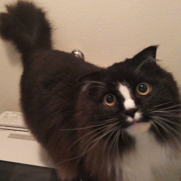 E0ca0c0d 9595 4bb8 b7d9 00078ca8773b 1657682425091