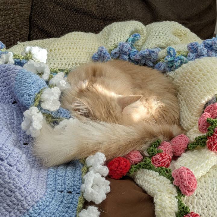 E0ca23b1 cda0 4b09 946a 946742a9b4e8 1763876715847