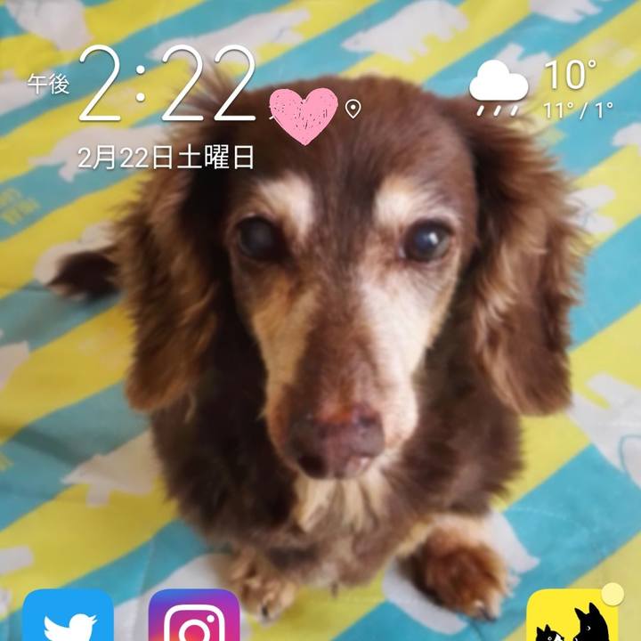 E0ca3a09 c1f6 4d8e a1f1 af66ecbe6f15 1582349355122