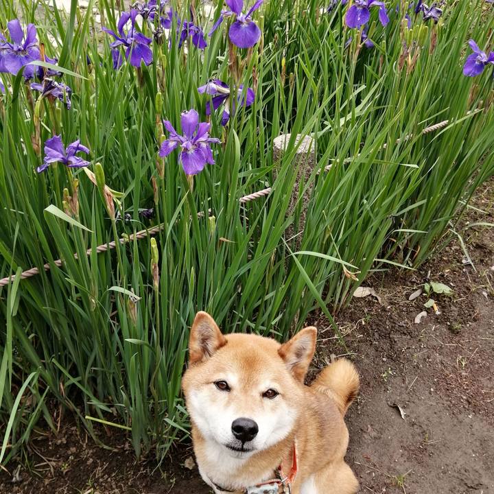 E0ca3cf2 161a 42a6 a3a0 1115b10cc2b0 1620457623568