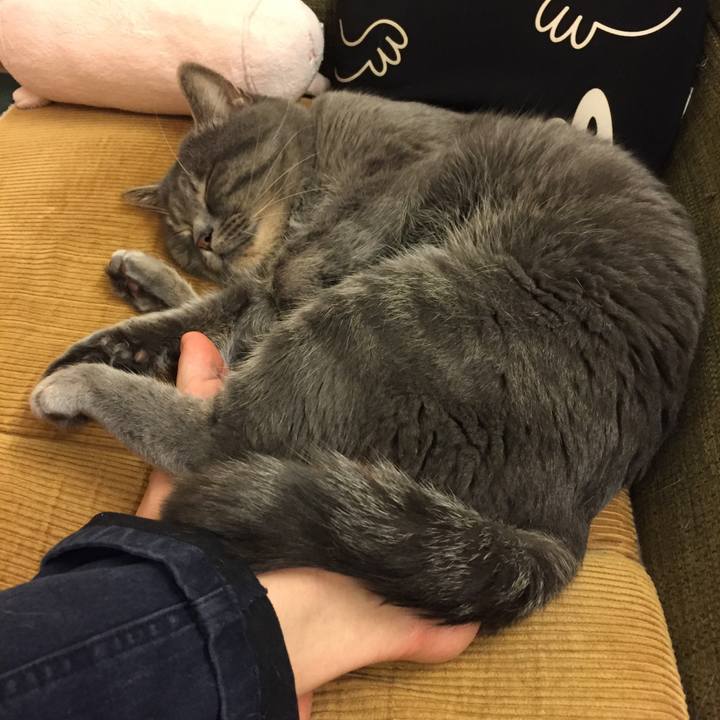 E0ca486d 9a05 45ce bc40 e45b0945bd52 1509636497562