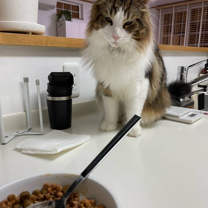 E0ca82ad a2dd 4731 bf83 81c2e09f1d73 1644700710540