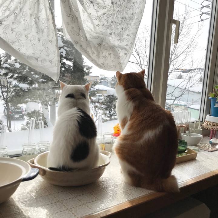 E0ca88f6 7d31 43db 84c3 3fbca42a3df5 1581212958945