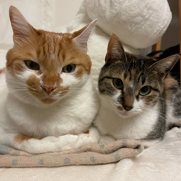 E0caabc2 0d7f 4151 89f1 8111b3b2803e 1669897636451