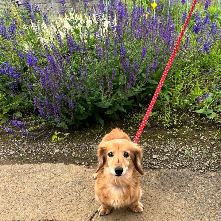 E0cabebb 0391 4148 b6e9 275ab3b378f4 1653572793196