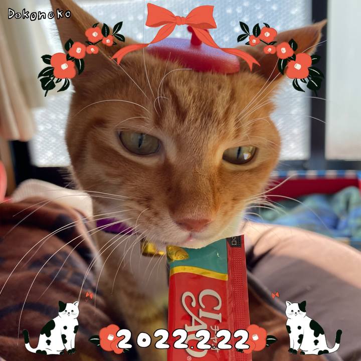 E0cb37d6 ba07 49ac 80c0 4f97f9595958 1645509427337