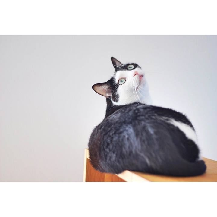 E0cb5ae6 de38 4e1c 86a6 ca98316263cc 1591138243253