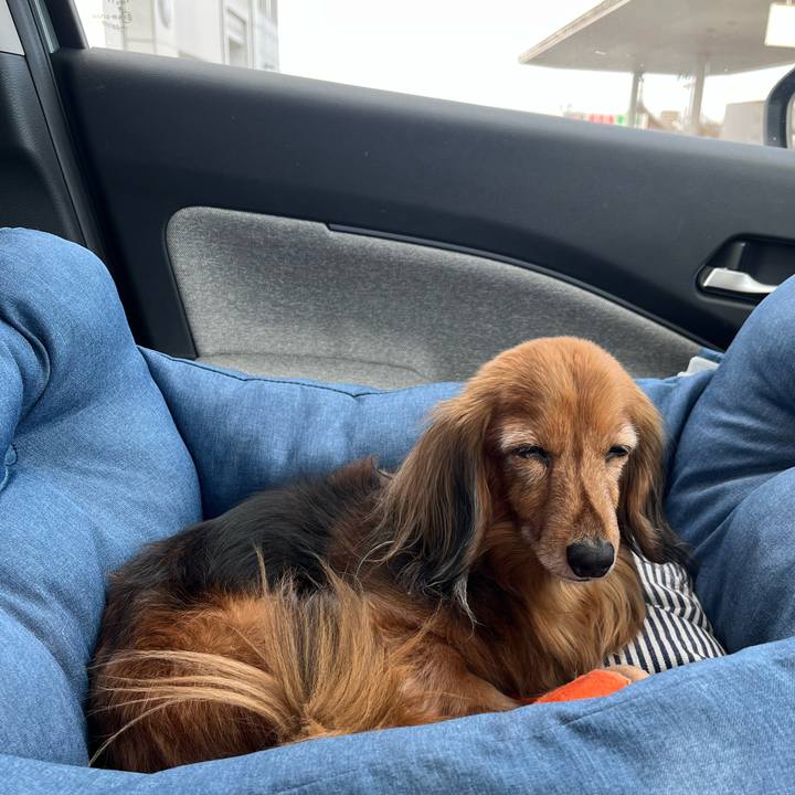 E0cb5f33 55c0 456a b1b1 bb8e92b68562 1770533484564