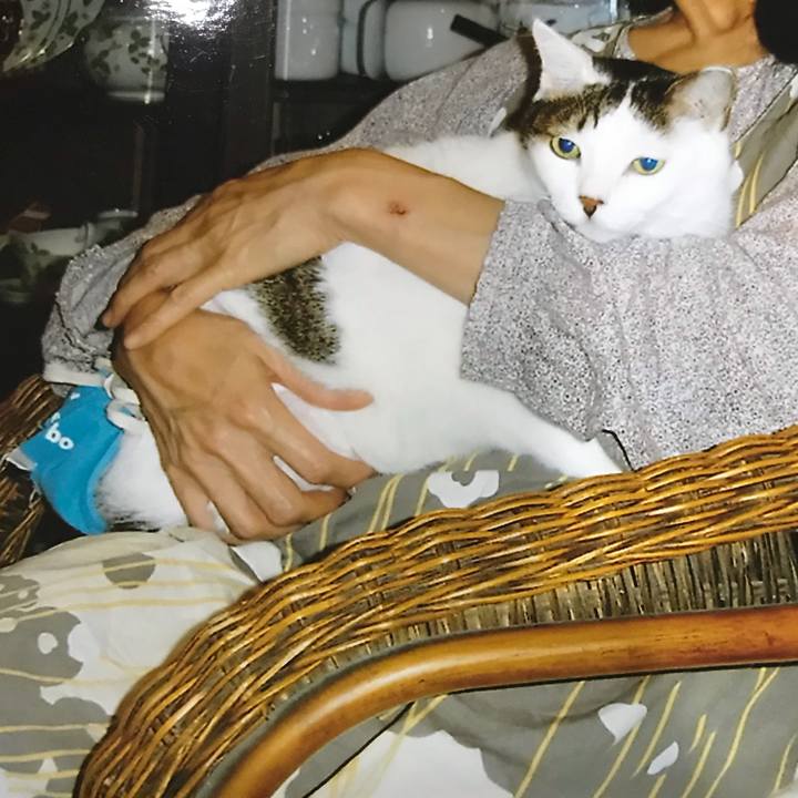 E0cb7850 59e2 448f 80a9 0e226e655d2b 1581158538486