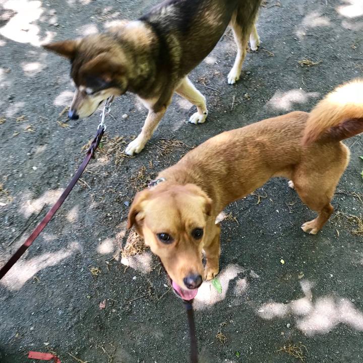 E0cb9a0c 58c3 4c11 9e1a 644e6e0fd24b 1524882883170