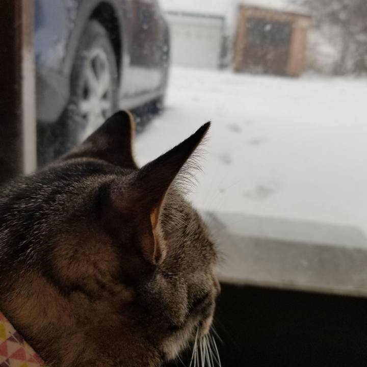 E0cba0ac d6f4 4839 ab44 31301aab093a 1681684934567