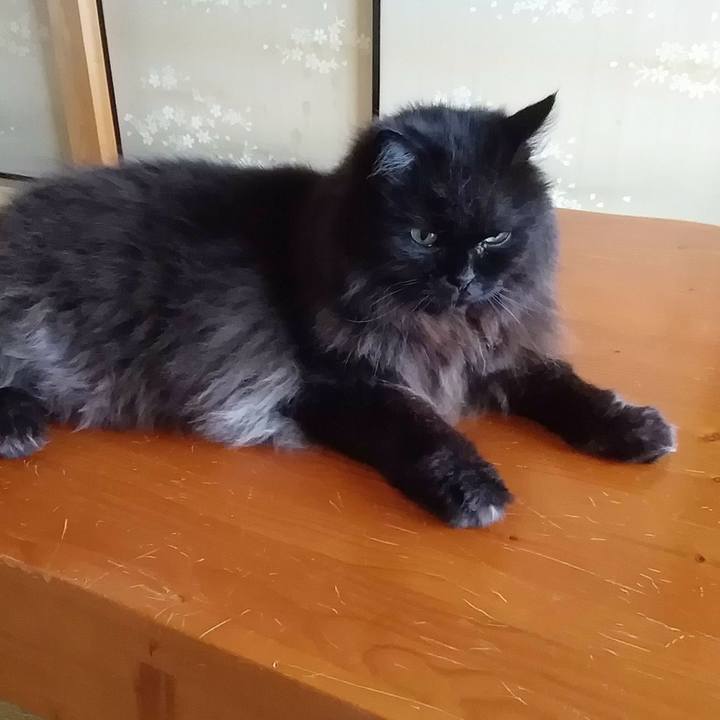 E0cbc81b 78e0 4acc 9eb0 e0bf205bbee7 1651464192497