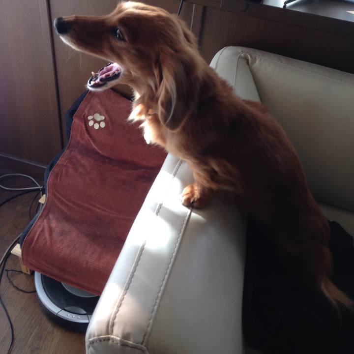 E0cbda72 c49b 4823 b5be 4edd0df4ca4c 1525056159138