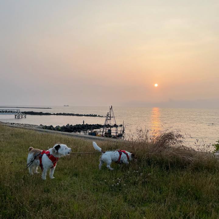 E0cbfeeb aaba 4d58 b30a 7be276213398 1655731240433