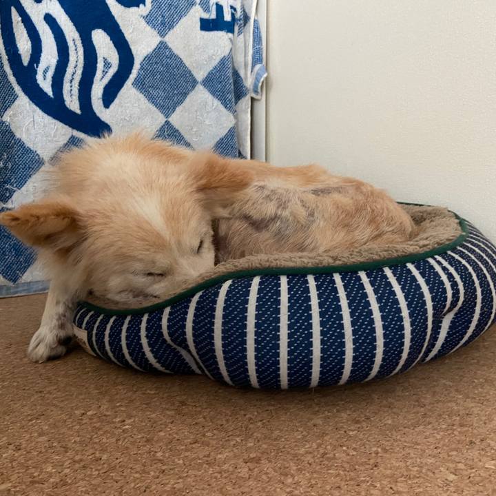 E0cc0eec 2025 4786 a1c4 8aa66ee787e1 1646868923921