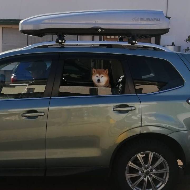 E0cc473e 5143 4723 a914 52f0d64afd46 1585121737595