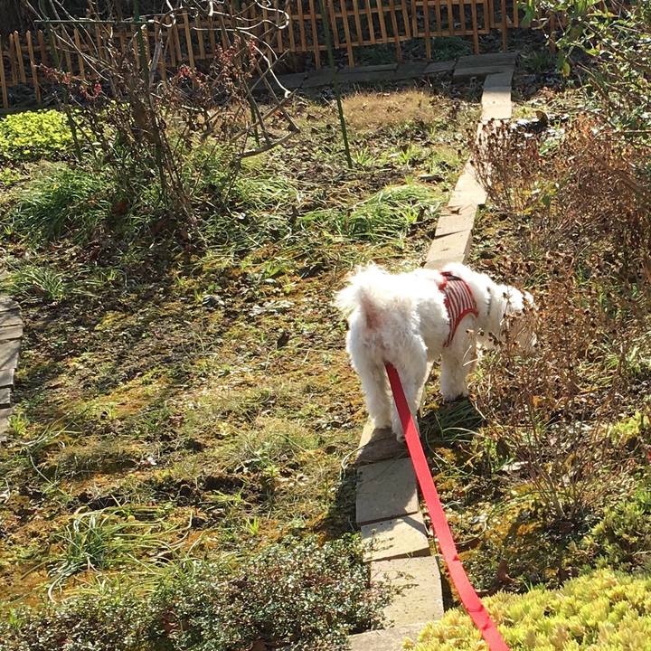 E0cc698b e734 4142 8ae8 cb8a55829265 1576296217581