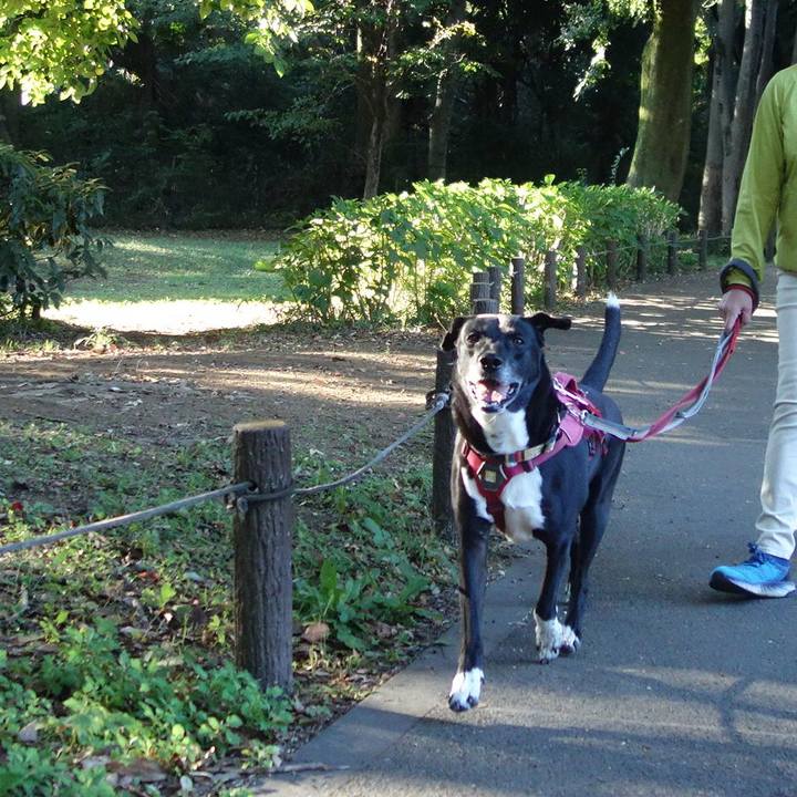 E0cc7480 edff 4d93 92b5 b1008cf1b75b 1697935288072