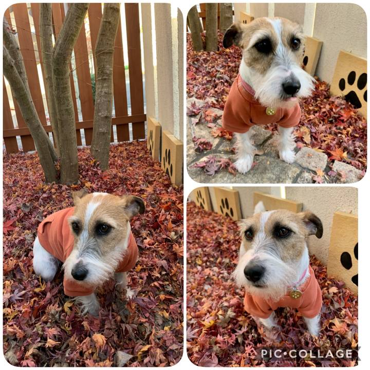 E0cc7cee 286d 4ec8 83c7 d28fdebf0e2e 1608277470223