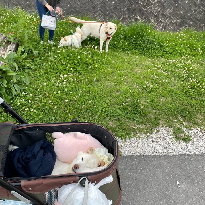 E0cc97d9 f733 428f 8c15 0ae026ff7f06 1680525044029