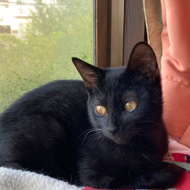 E0cca231 4483 4800 8e16 87f8b53a6a24 1630989058811