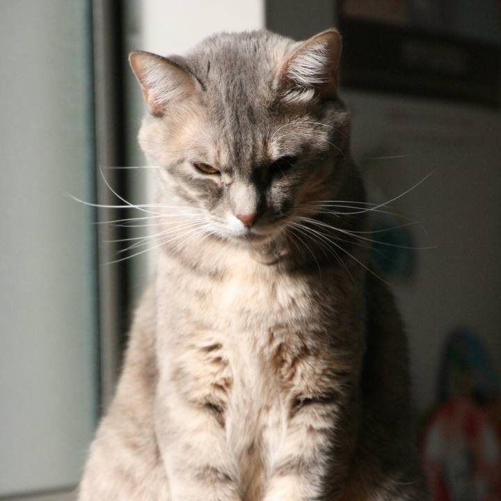 E0ccab13 f964 474d 8e40 c5bff33aa2bf 1513308482710