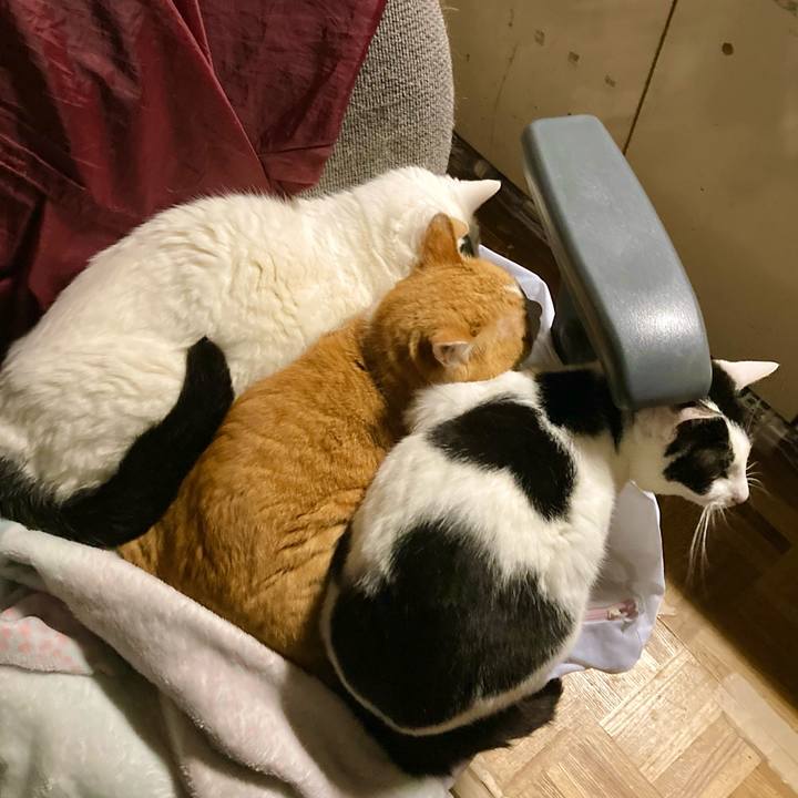 E0ccbb4b 4c61 4ac8 80c1 778aee38f96b 1682030046701