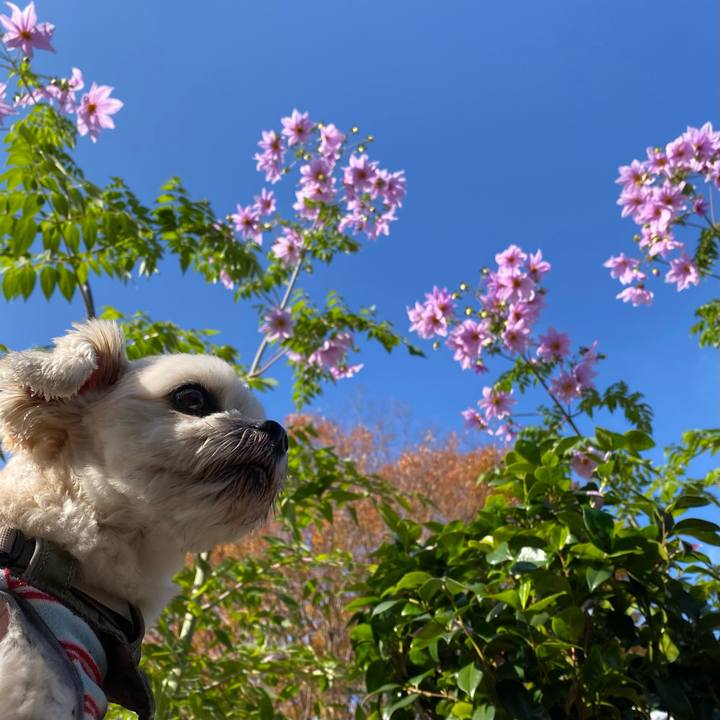 E0cd228d 7110 4a10 af21 4ea38512461b 1669546109713