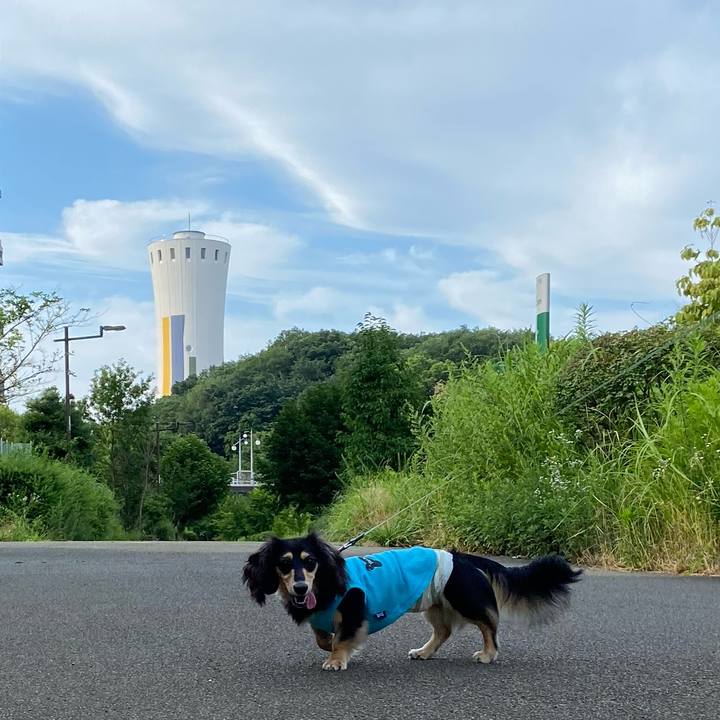 E0cd2fdd 73de 4d33 9c69 5dce05bd32d1 1688335108431