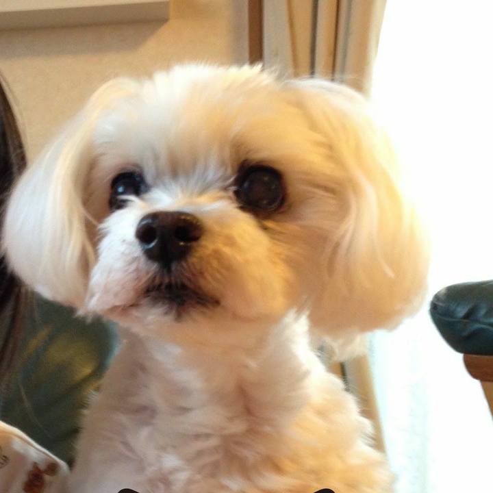 E0cd3b24 a07b 40f8 ad73 805eec850389 1556321550591