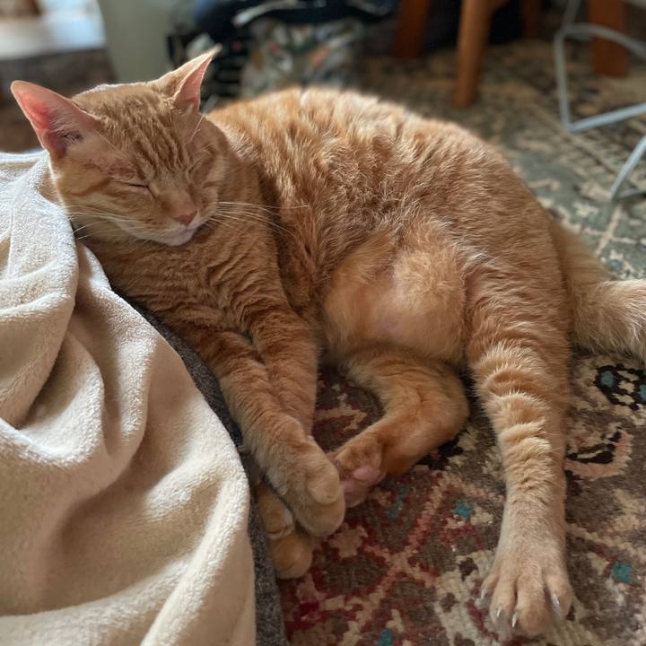 E0cd59f7 46e7 4316 a6b0 21c5d5de75c4 1763946585538