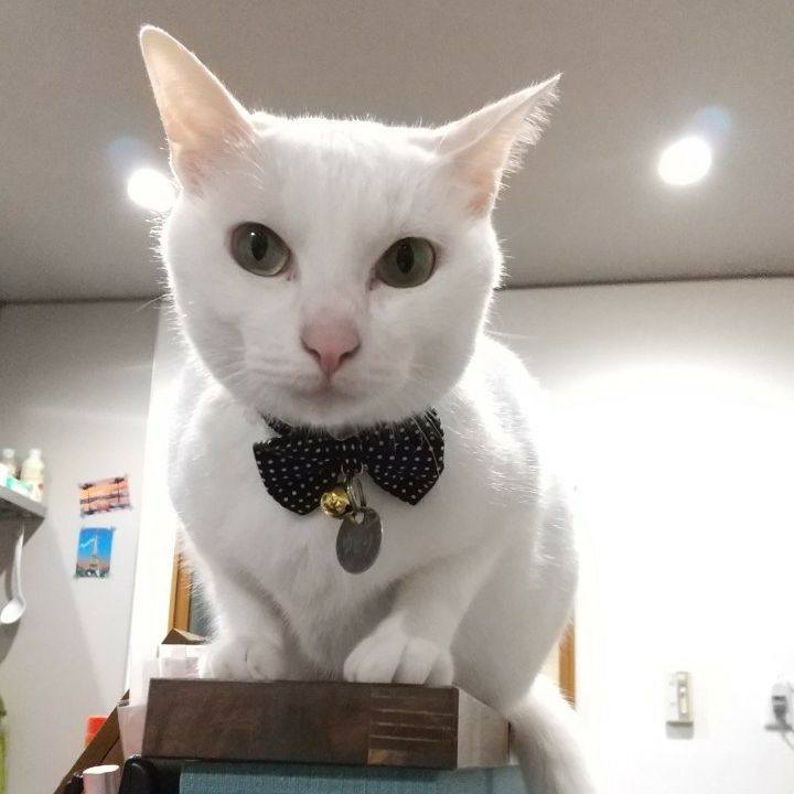 E0cd6607 f5f1 4c48 a13f 0b7fe51d93a1 1599573510532