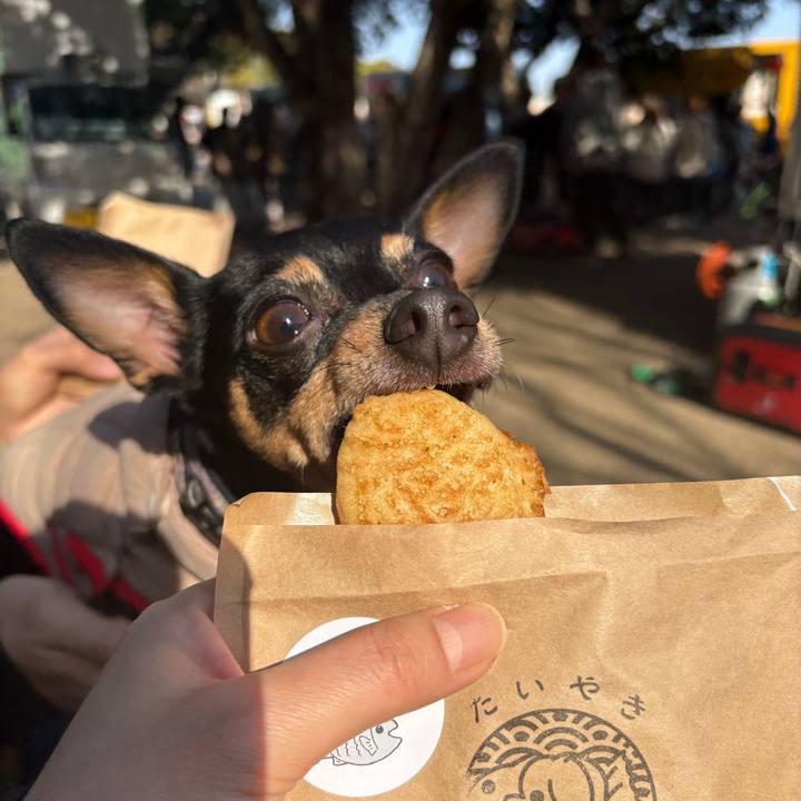 E0cd7759 36ed 4657 8722 6b7f32103ece 1768822368436