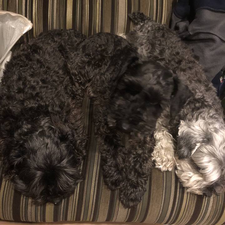 E0cda60e 29ec 4091 9fea d88e54b5091d 1556203767288