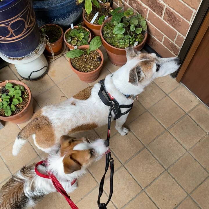 E0cda65d 1a8a 421c aba3 d55c07204a1e 1635651852642