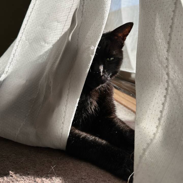 E0cdad7d 1aa9 410f 9f92 3f69828467f0 1672011309248