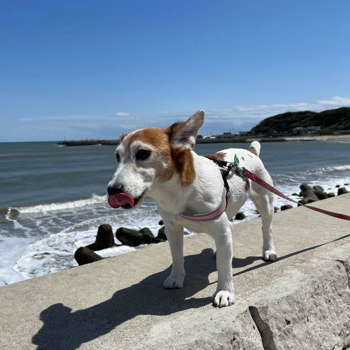 E0cdba9d 253a 415b b923 50a940b466af 1619182724039